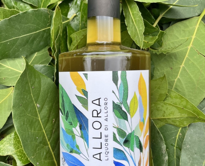 L’alloro e la Sicilia